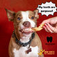 Lamb Ears for Dogs, Large - 25 Pack