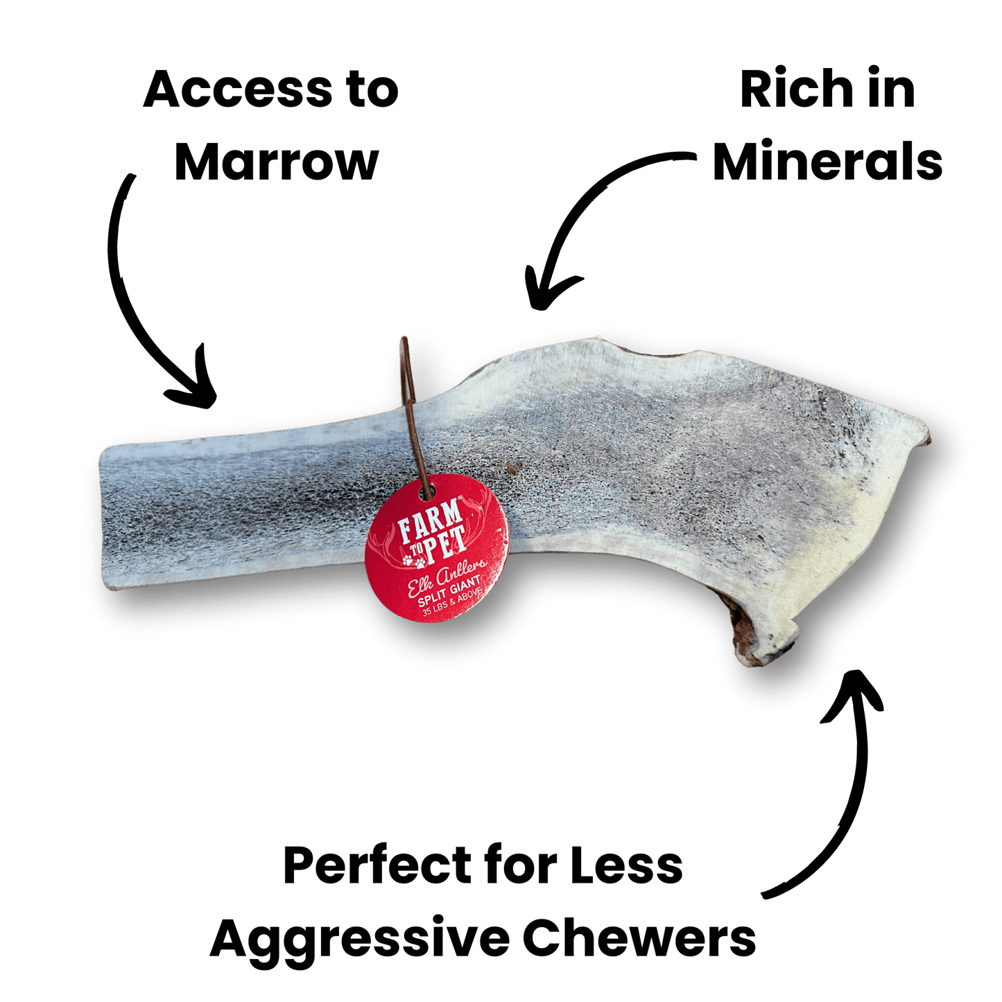 Elk Antlers for Dogs | All-Natural Antler Dog Chews