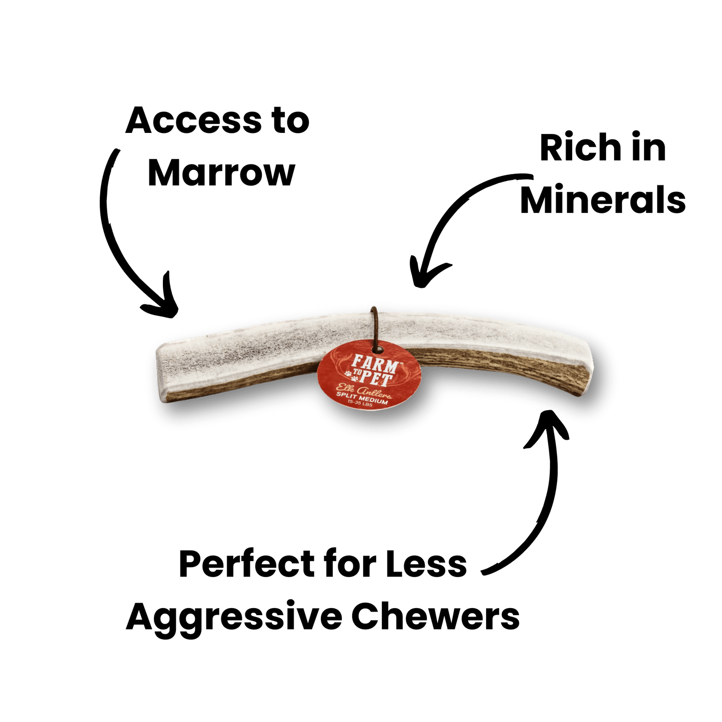 Elk Antlers for Dogs | All-Natural Antler Dog Chews