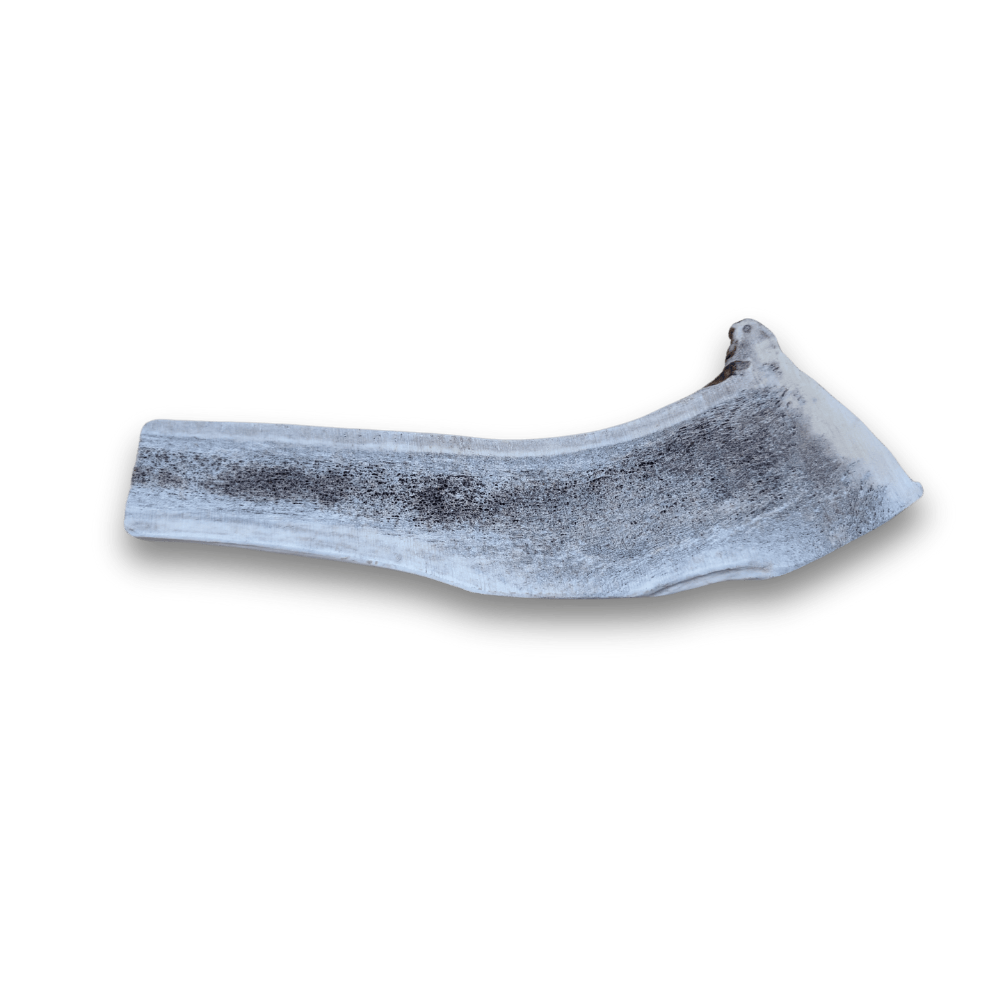 Elk Antlers for Dogs | All-Natural Antler Dog Chews