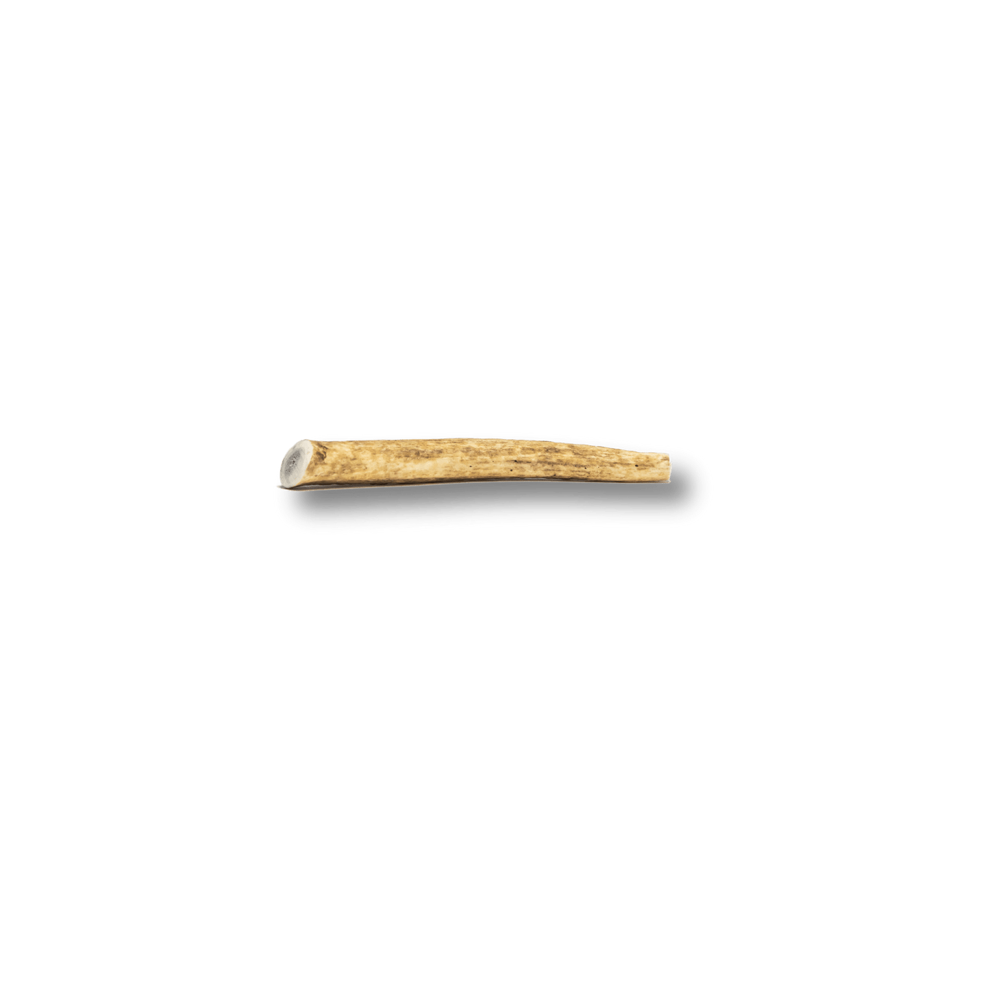 Elk Antlers for Dogs | All-Natural Antler Dog Chews