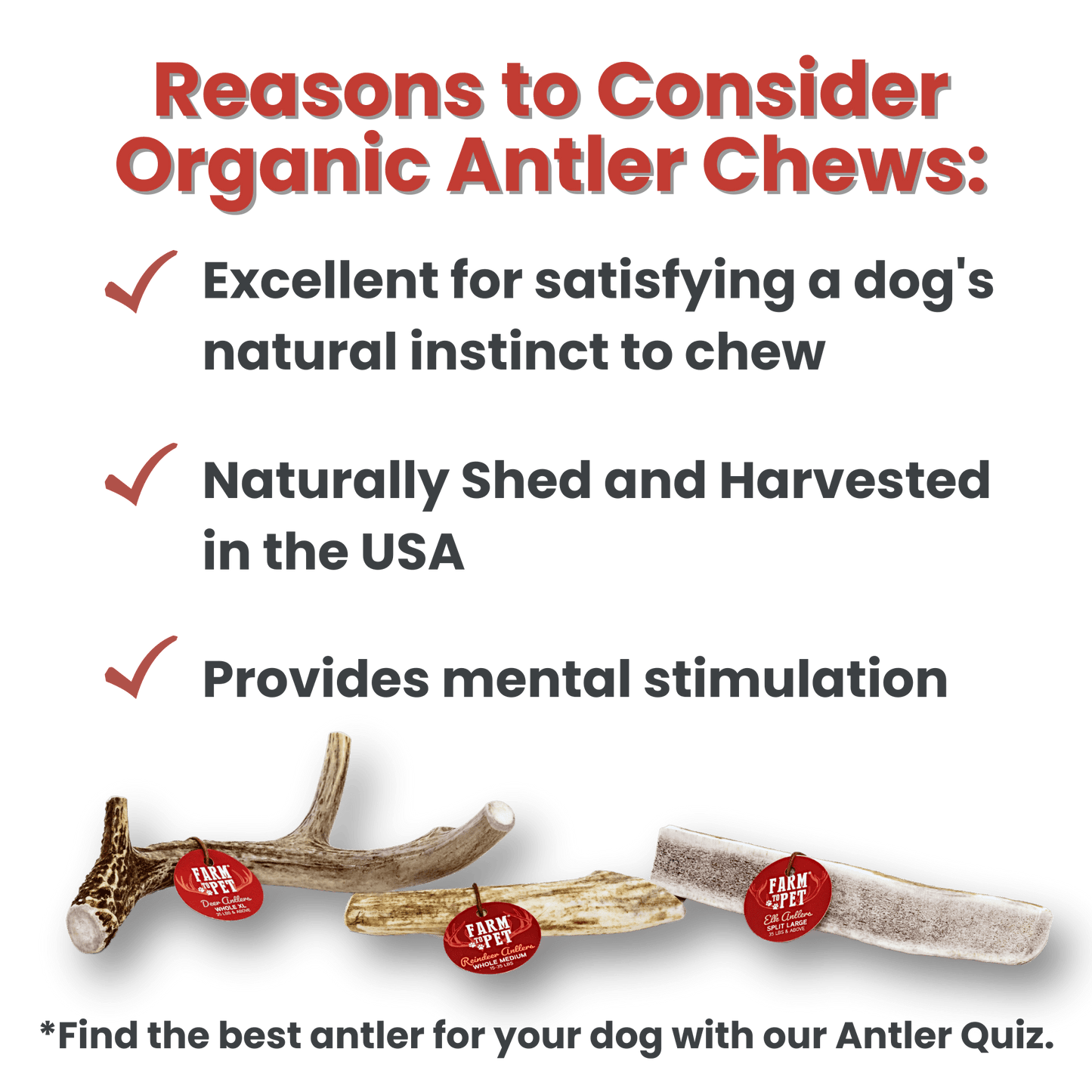 Elk Antlers for Dogs | All-Natural Antler Dog Chews