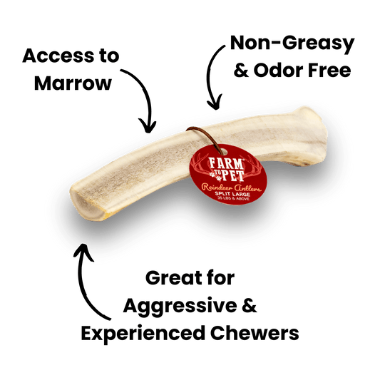 Reindeer Antlers for Dogs | Antler Dog Chews for Aggressive Chewers