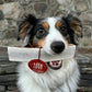 Elk Antlers for Dogs | All-Natural Antler Dog Chews