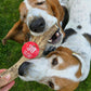 Elk Antlers for Dogs | All-Natural Antler Dog Chews