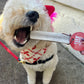 Elk Antlers for Dogs | All-Natural Antler Dog Chews