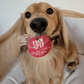 Reindeer Antlers for Dogs | Antler Dog Chews for Aggressive Chewers