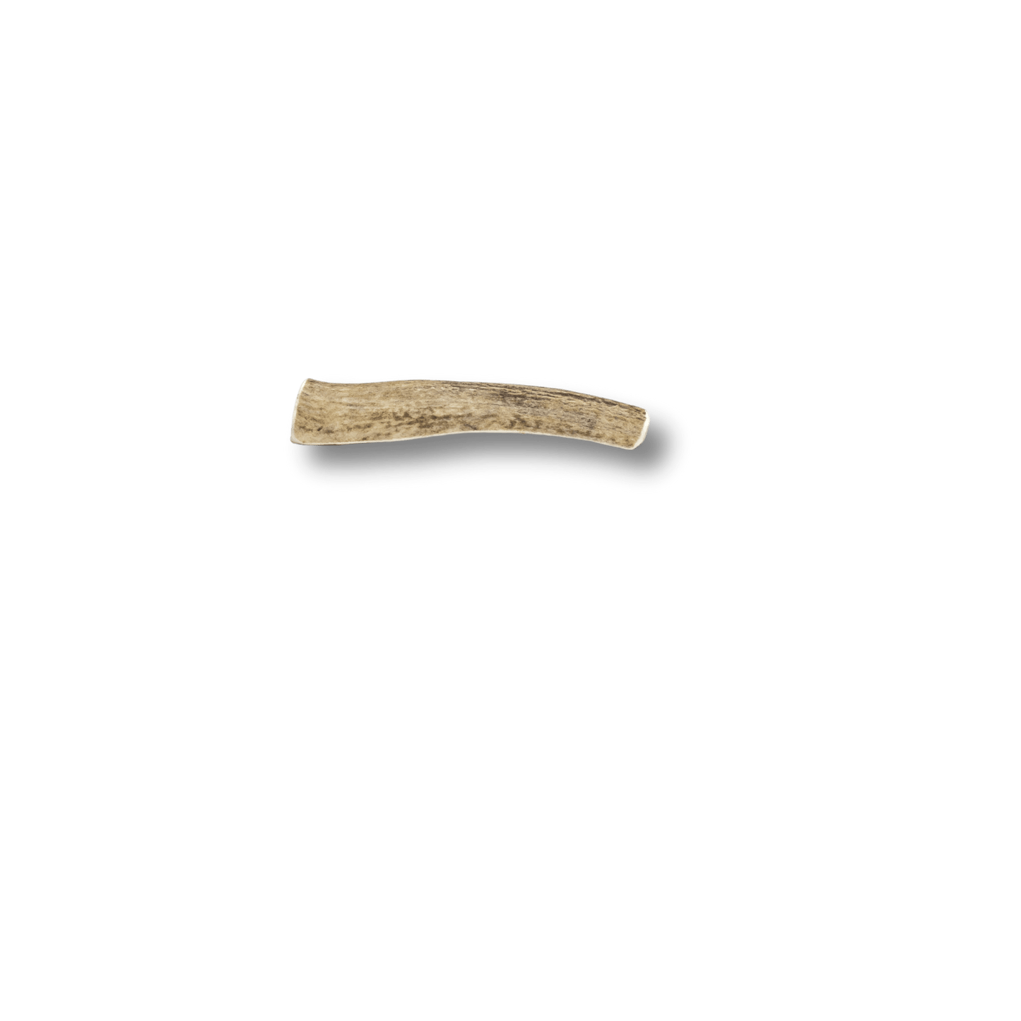 Elk Antlers for Dogs | All-Natural Antler Dog Chews