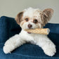 Elk Antlers for Dogs | All-Natural Antler Dog Chews