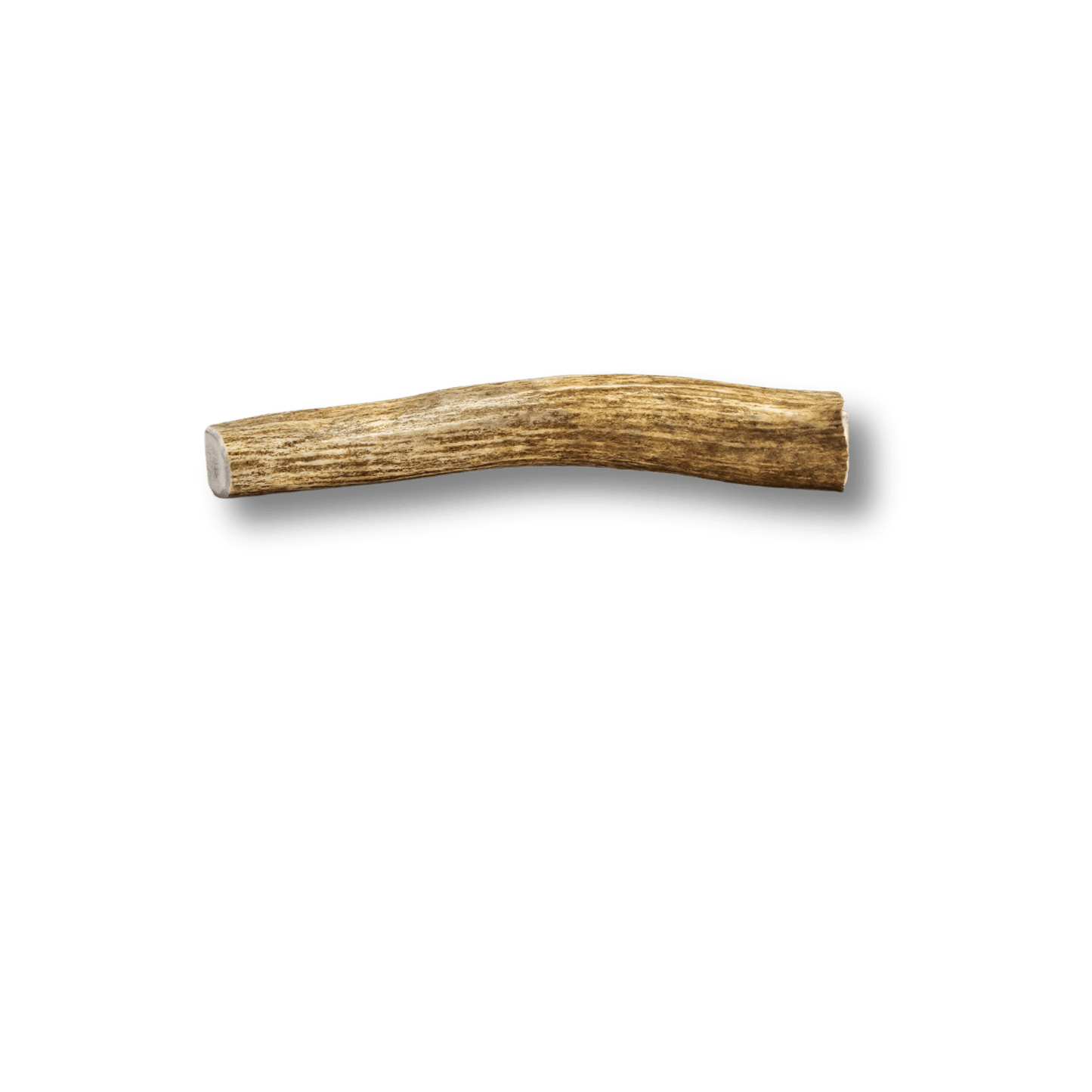 Elk Antlers for Dogs | All-Natural Antler Dog Chews