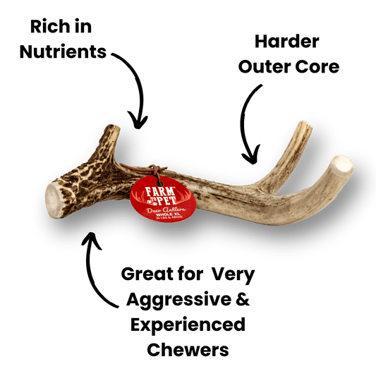 Deer Antler Dog Chews | Organic Antler Chews