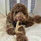 Deer Antler Dog Chews | Organic Antler Chews