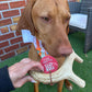 Deer Antler Dog Chews | Organic Antler Chews