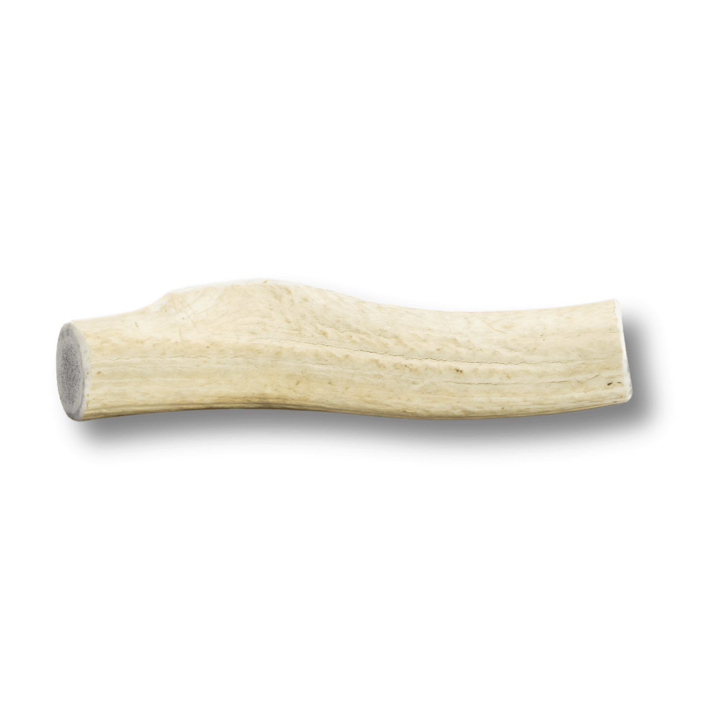 Elk Antlers for Dogs | All-Natural Antler Dog Chews