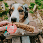 Elk Antlers for Dogs | All-Natural Antler Dog Chews