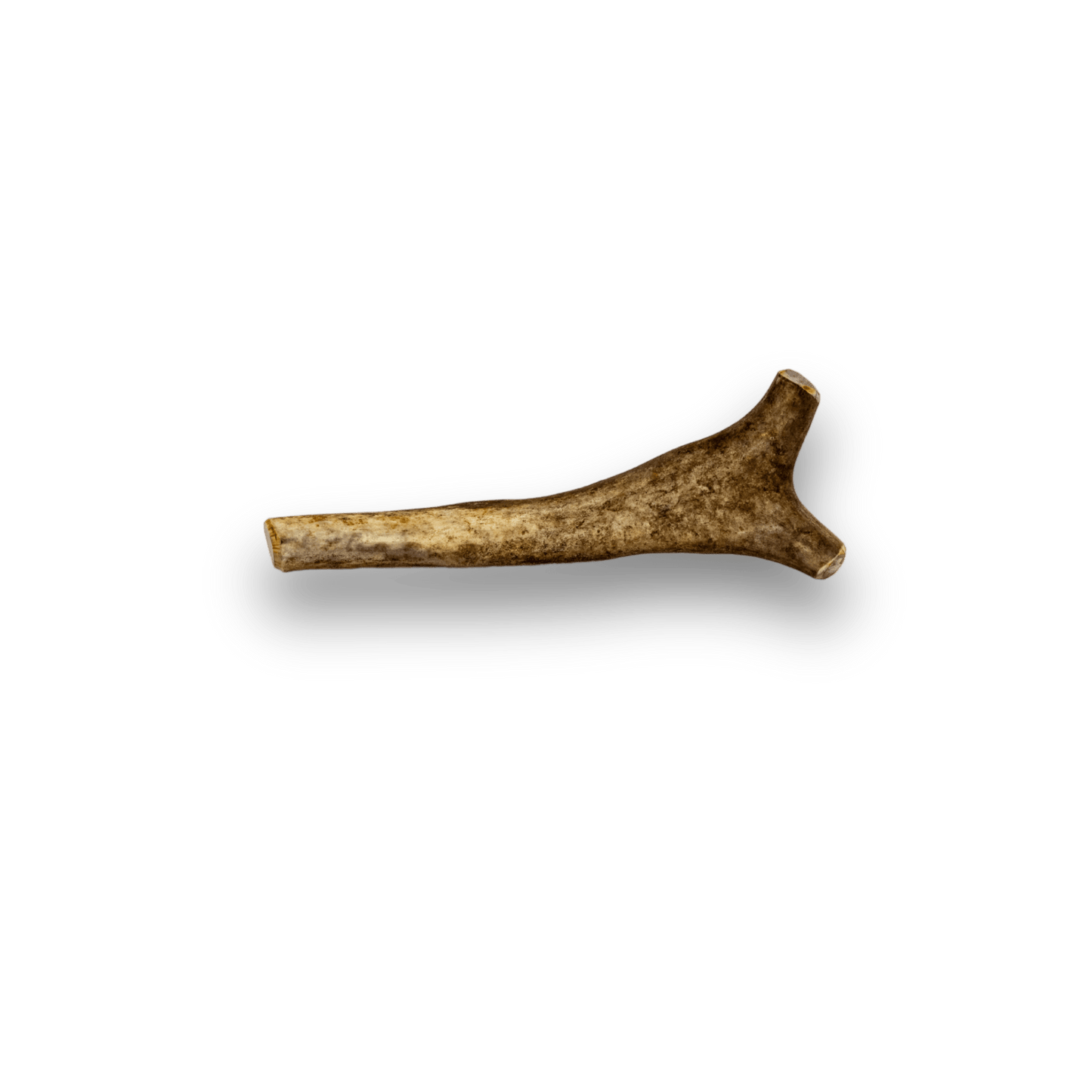 Elk Antlers for Dogs | All-Natural Antler Dog Chews